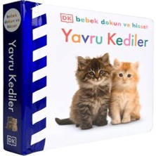 Feifei Bebek Dokun ve Hisset - Yavru Kediler