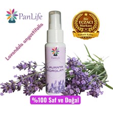 Panlife Lavanta Hidrolatı 50 ml %100 Saf Doğal Lavanta Suyu Yüz Toniği Sprey