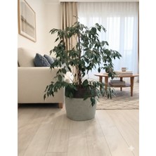 35*35 Çok Amaçlı Dekoratif Sepet