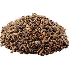 Feifei Devedikeni Tohumu Doğal Tane 1000 gr Paket