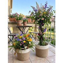 22*20 Dikilebilir Hasır Görünümlü Saksı, Sepet, Saksılık, Hediyelik