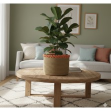 30*20 Çok Amaçlı Kapaklı Sepet Depolama Sepeti Hediyelik Sepet Organizer