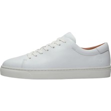 Timberland Beyaz Erkek Sneaker Dover Essential Low Lace Up Sneaker