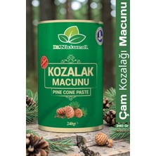 Dr. Natural Kozalak Macunu Çam Kozalağı Macun 240 gr
