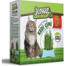 Jungle Kedi Çimi Kutulu (Fileli) Sağlıklı Sindirim İçin Doğal Çözüm 14x14 cm