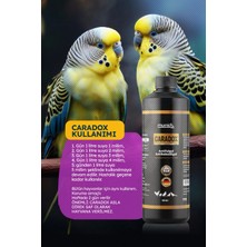 Caradox Kursak Mantarı - Ağızdan Peynirleşme - Kuruma - Hırıltı Ürünü 500 ml