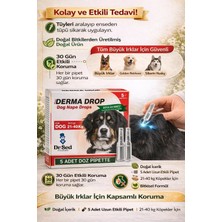 Köpekler Için Deri Bakım Maxi Derma Drop 5x3 gr 21-40 kg