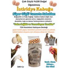 Ovumix Doğal Istiridye Kabuğu 500 gr - Tavuklar Için Yüksek Emilimli Kalsiyum, Yumurta Kabuğu Güçlendirici ve Verim Artırıcı