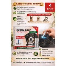Maxi Derma 21-40KG Köpek Ensedamlası  4 Kutu