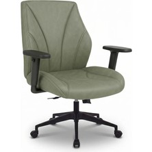 Zıeno Spectra Çalışma Koltuğu