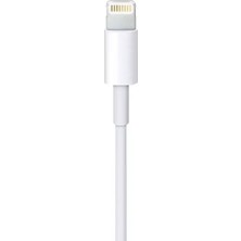 Zenvia ZR649 Lightning 15 Cable 2 M