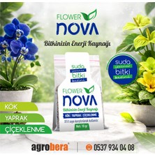 Agrobera Flower Nova