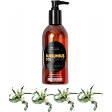 Burlumbuş Otu Bakım Masaj Jeli 120 ml x 1 Adet