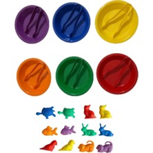 Aktarma Seti 6 Kase 6 Cımbız Evcil Hayvanlar Counters Seti
