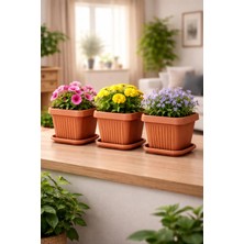 Binbirreyon Kare Tabaklı Saksı 1,5lt Terracotta 3 Adetli Set Kahverengi 15X15X13CM AH106