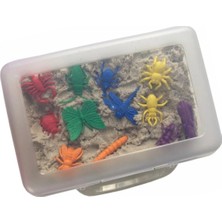 Aktif Beyin Edx Bahçe Böcekleri Aktivite Çantası