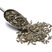 Glutensiz Siyah Çekirdek Tuzlu