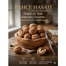 5 kg %100 Doğal ve Taze Kabuklu Dağ Cevizi - Yüksek Kalite ve Eşsiz Lezzet - [5000] gr