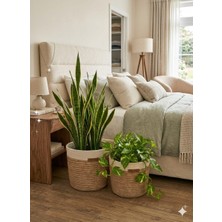 Bayram Taşçıoğlu Home Desing 2 Adet Dekoratif Düzenleyici Sepet Saksılık