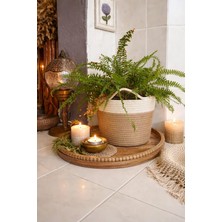 Bayram Taşçıoğlu Home Desing Dekoratif Düzenleyici Sepet Saksılık