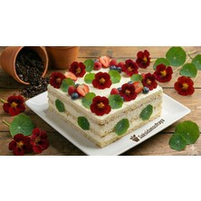 Saksıdan Sofraya Latin Çiçeği (Nasturtium) Mikro Filiz Tohumu - 10 Adet - Yenilebilir Çiçek & Gdo'suz