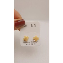 Tılsım Accesories Çocuk Küpe Mıknatıslı