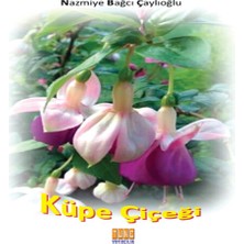 Feifei Küpe Çiçeği