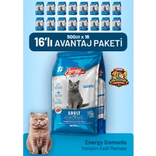 Cat food energy Somonlu Yetişkin Kedi Maması 500 G - 16 Adet
