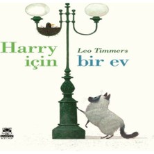 Feifei Harry Için Bir Ev