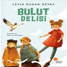 Feifei Bulut Delisi