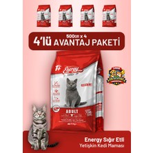 Cat food energy Sığır Etli Yetişkin Kedi Maması 500 G - 4 Adet