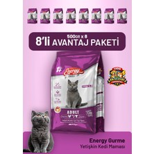 Cat food energy Gurme Yetişkin Kedi Maması 500 G - 8 Adet