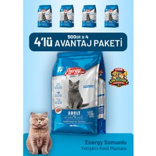 Cat food energy Somonlu Yetişkin Kedi Maması 500 G - 4 Adet