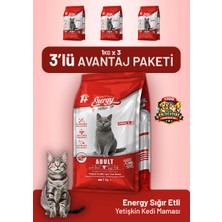 Cat food energy Sığır Etli Yetişkin Kedi Maması 1 kg - 3 Adet