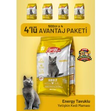 Cat food energy Tavuklu Yetişkin Kedi Maması 500 G - 4 Adet