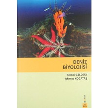 Deniz Biyolojisi