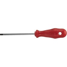Tr 25 Delikli Torx Uçlu Tornavida