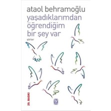 Yaşadıklarımdan Öğrendiğim Bir Şey Var