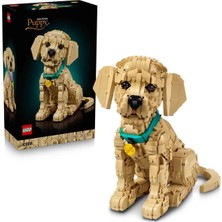 LEGO Icons Yavru Golden Retriever 11384 - Yetişkinler Için Dekoratif Hayvan Figürü Yapım Seti (2102 Parça)