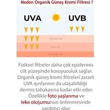 Ql Yüz Güneş Kremi 50 + Spf Faktör Leke Karşıtı Çok Yüksek Koruma (1 x 110 Ml)