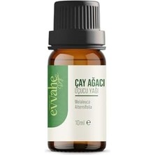 Doğal Çay, Ağacı, Yağı, (10ML.)