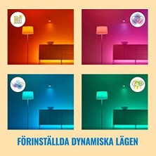 Wiz Up& Tavan Lambası Ayarlanabilir Beyaz ve Renkli, Kısılabilir, 16 Milyon Renk, Wi-Fi Üzerinden Uygulama/ses ile Akıllı Kontrol, Beyaz