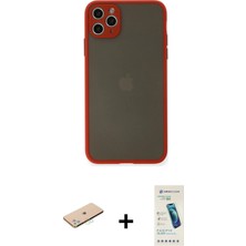 BUTİMAR'S iPhone 11 Pro Max Ahenk Çizgi Serisi - Şeffaf Pasifik Cam Ekran Koruyucu + Mavi Renkli Kamera Lens Koruma Cam