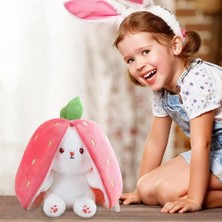 Urfakent PL62261 35 cm Çilek Hayvan-Hly