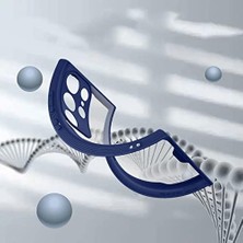 Galaxy S23 Ultra Kılıf Kamera Korumalı Arkası Mat Silikon