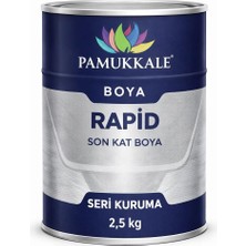 Pamukkale 1402 Rapid Endüstriyel Boya 60-70 Gloss 2.5 kg Ral 1016 Kükürt Sarısı