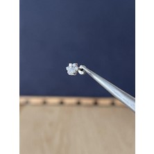 Rupen Kraft %100 G23 Titanyum Pırlanta Model Pati Model Titanyum Labret Kıkırdak Piercing