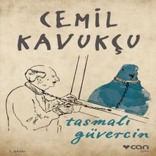 Feifei Tasmalı Güvercin