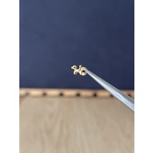 Rupen Kraft %100 G23 Titanyum Fino Köpek Altın Titanyum Model Titanyum Labret Kıkırdak Piercing