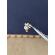 Rupen Kraft %100 G23 Titanyum Baykuş Zirkon Altın Titanyum 6 mm Labret Kıkırdak Piercing
